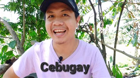 sibugay sex scandal